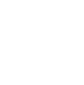 Loyal-Home-Buyers-Logo-white-295x300